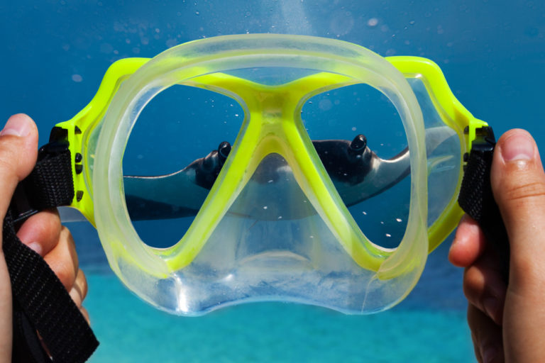 Scuba Diving Refresher Tips