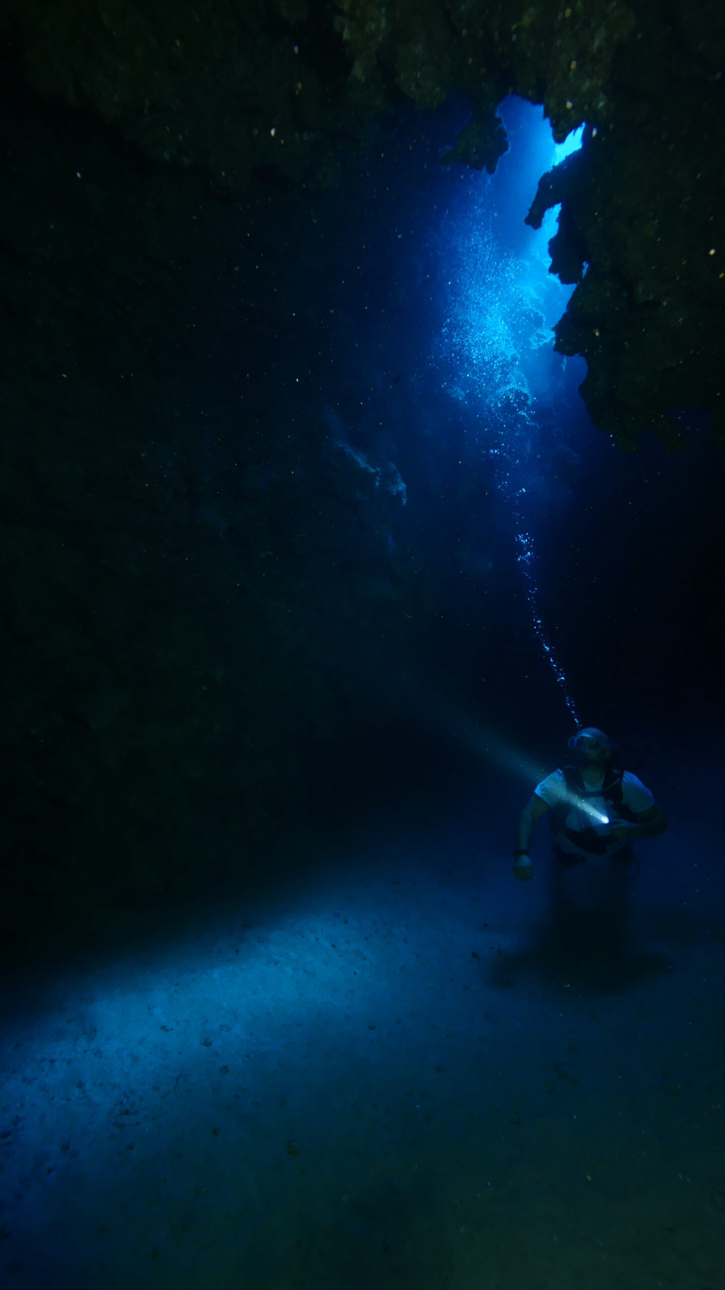 Best CHEAP Dive Lights Diving Squad (2024)