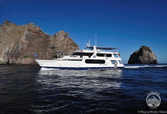 Galapagos Liveaboard Comparison Chart