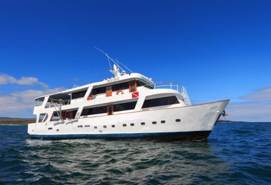 Galapagos Liveaboard Comparison Chart