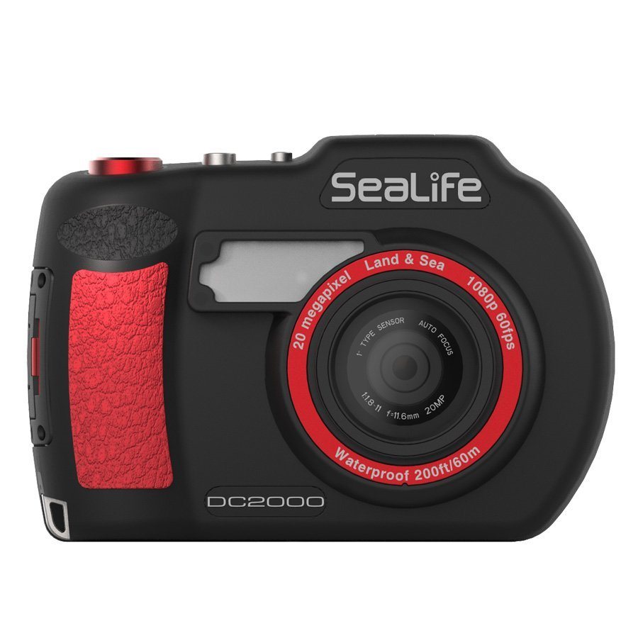 Best scuba diving camera for beginners