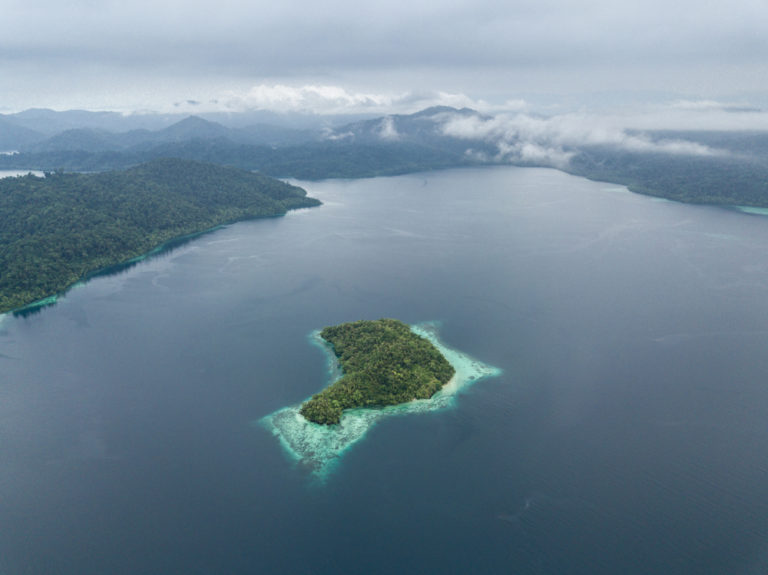 raja ampat diving cruises are in one of the most beautiful places in the world