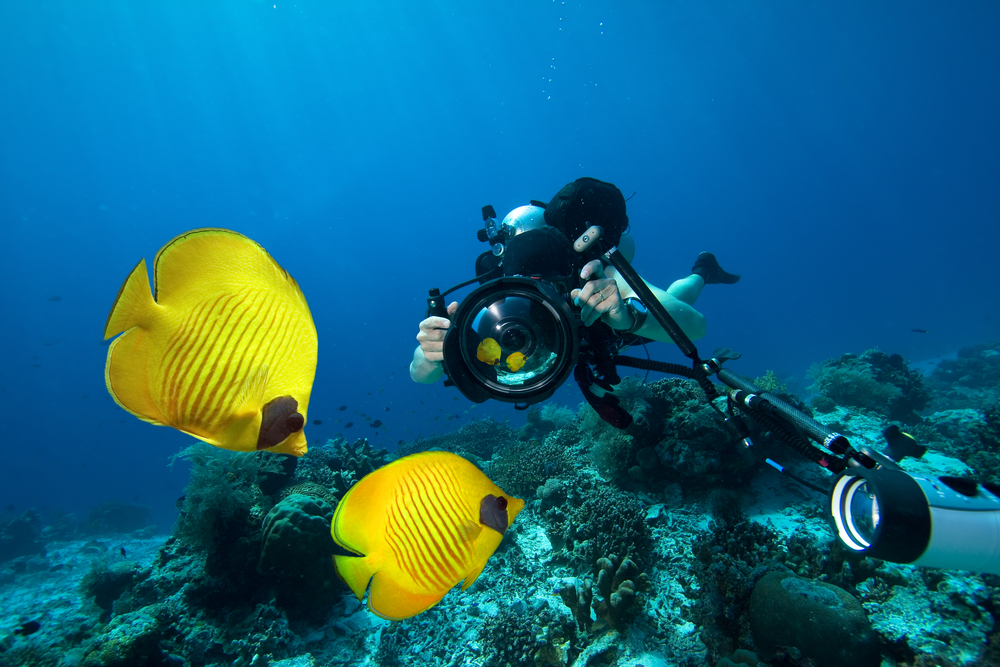 professional underwater camera