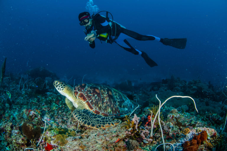 adventure diving bali