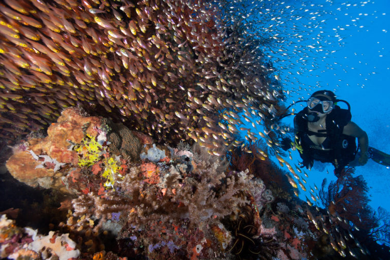 Bali Diving