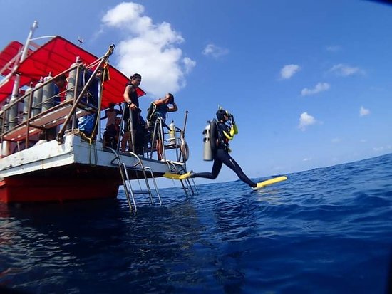 Scuba Dogs Diving Boat