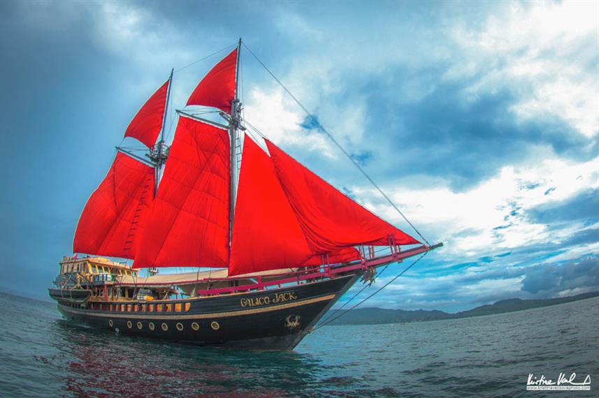 Calico Jack with island behind it