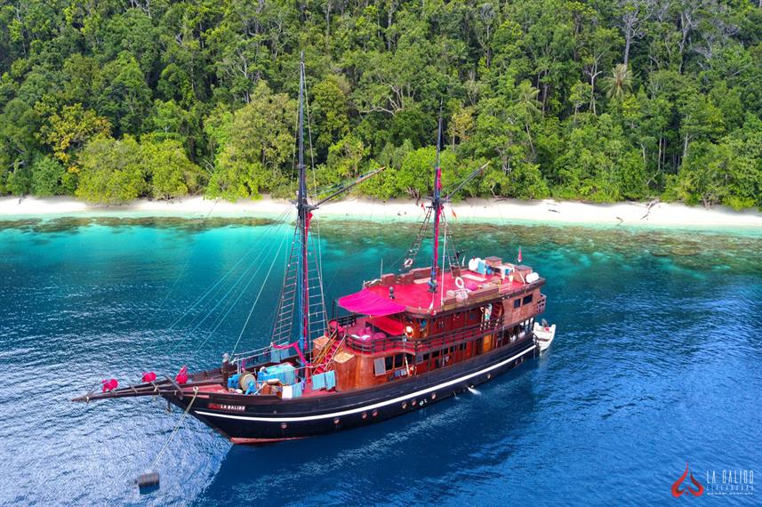 La Galigo liveaboard next to jungle covered beach