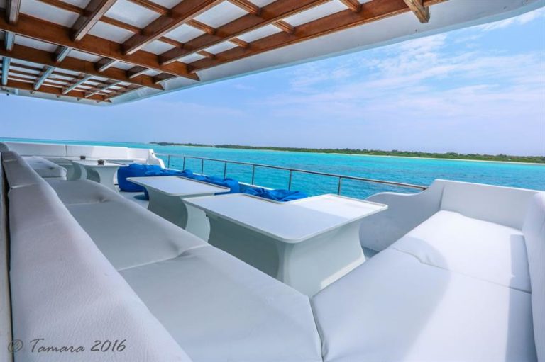 main lounge on amba