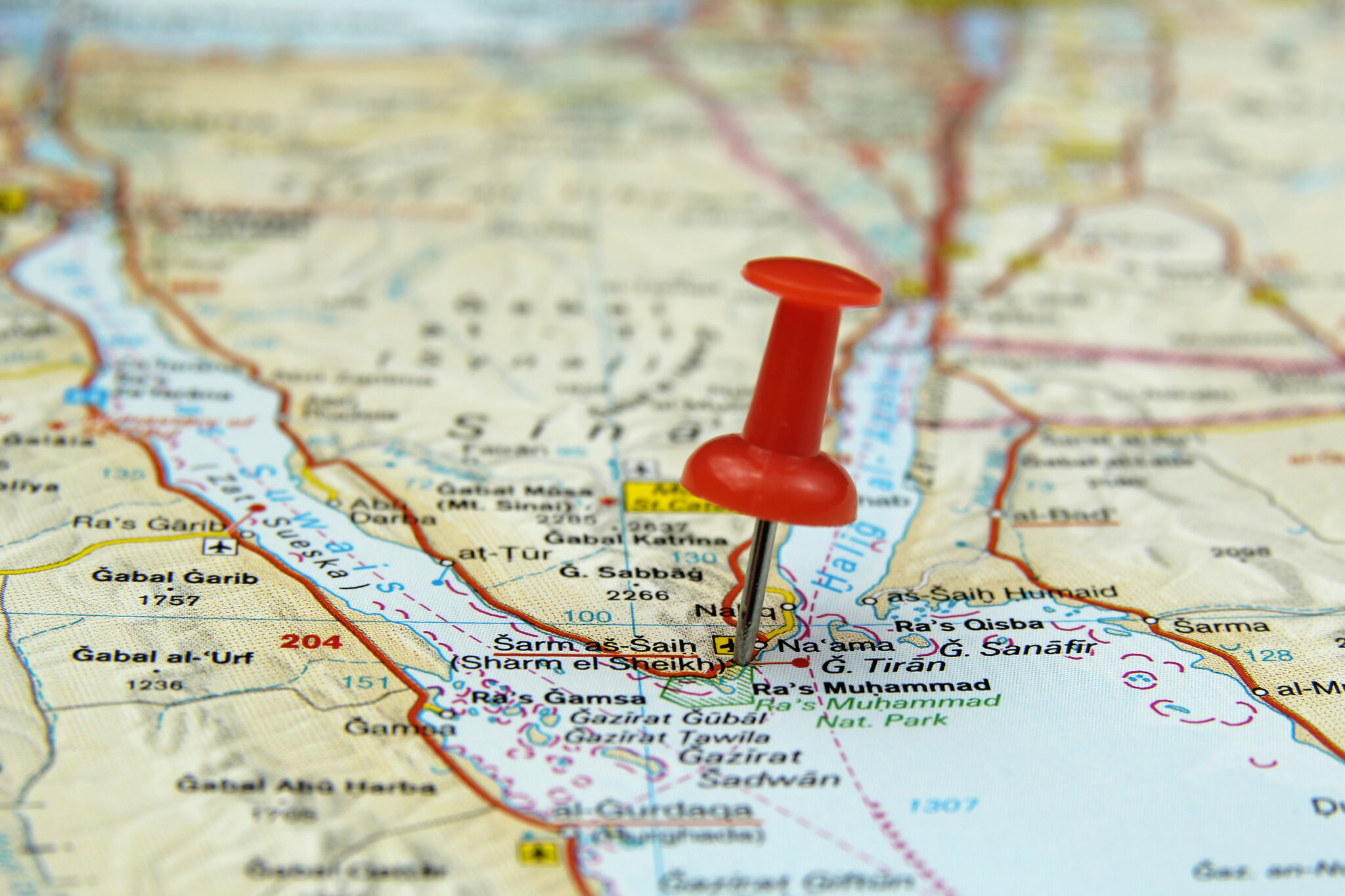 Red Sea Diving in 2023 Regions, Seasons, Guide & Ideas