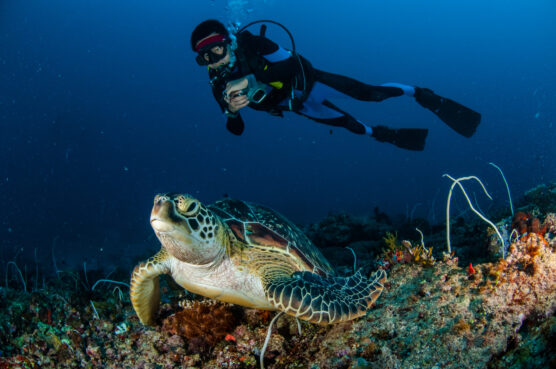 Taking a picture with the best cheap dive camera