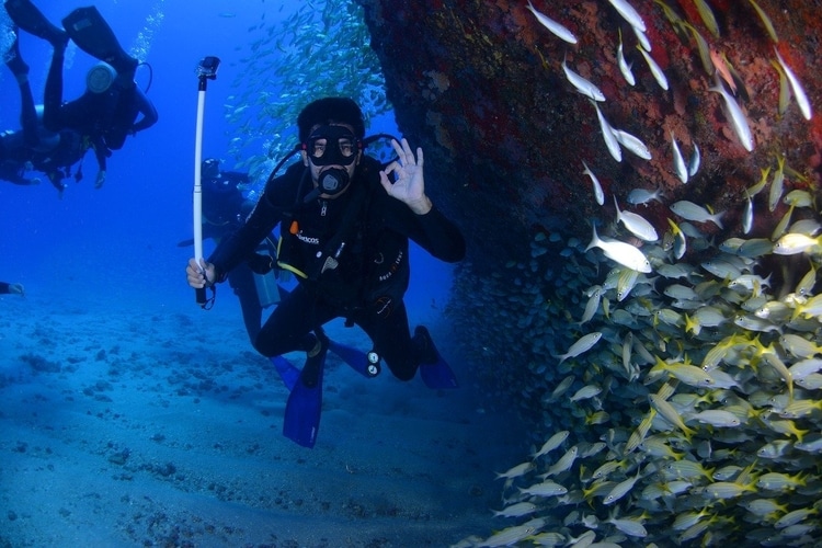 best beginner dive computer 2020
