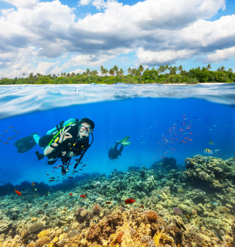 Best Scuba Diving Insurance Plans by Diving Squad (2021 UPDATE)