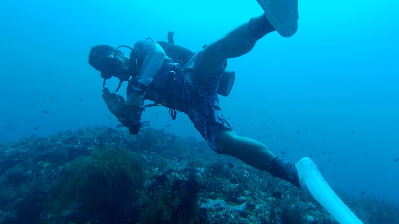 Best Console Dive Computer Reviews 2021 Diving Squad