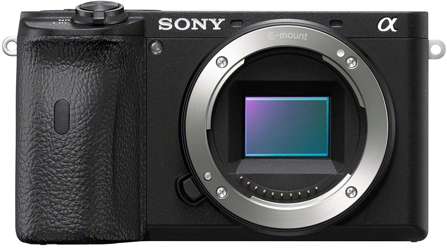 Sony Alpha A6600