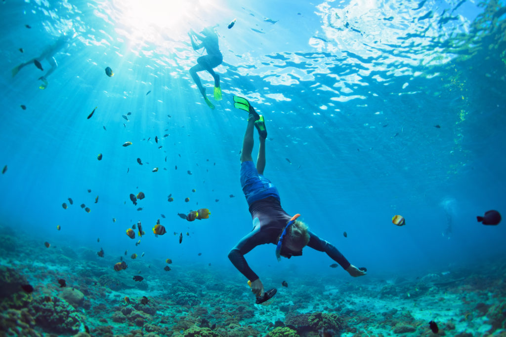 Get ready to immortalise your snorkeling trips!