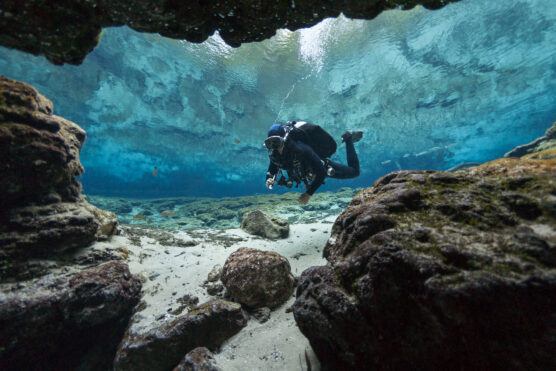 Divers,Underwater,Caves,Diving,Ginnie,Springs,Florida,Usa