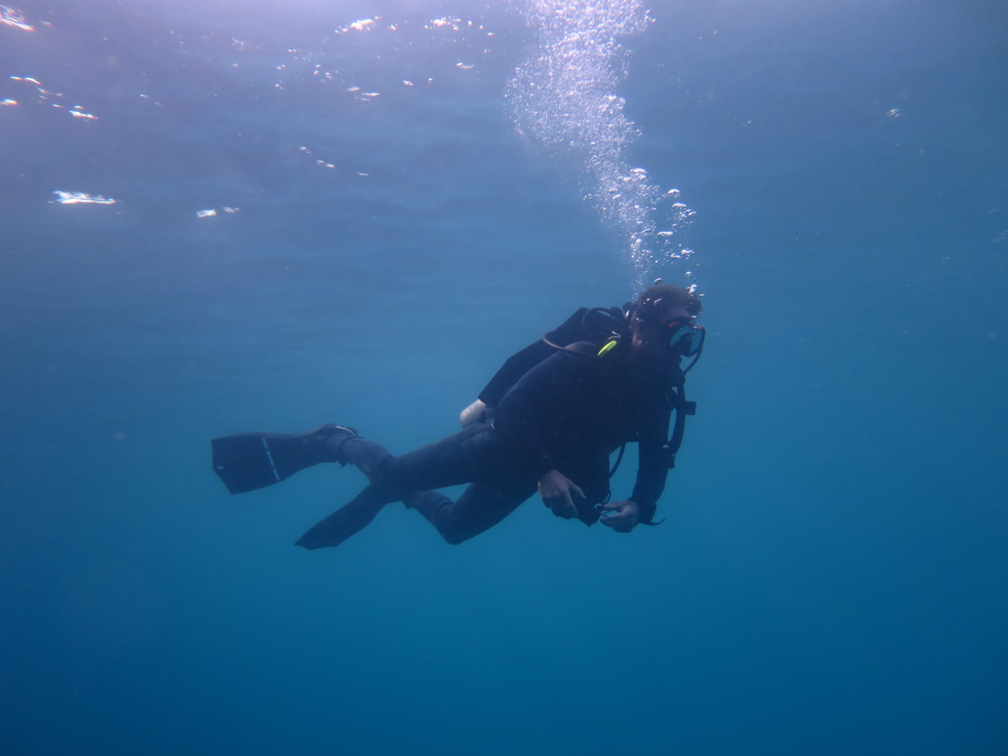 21 Best Diving Wetsuits for Warm Waters (2023 Edition)