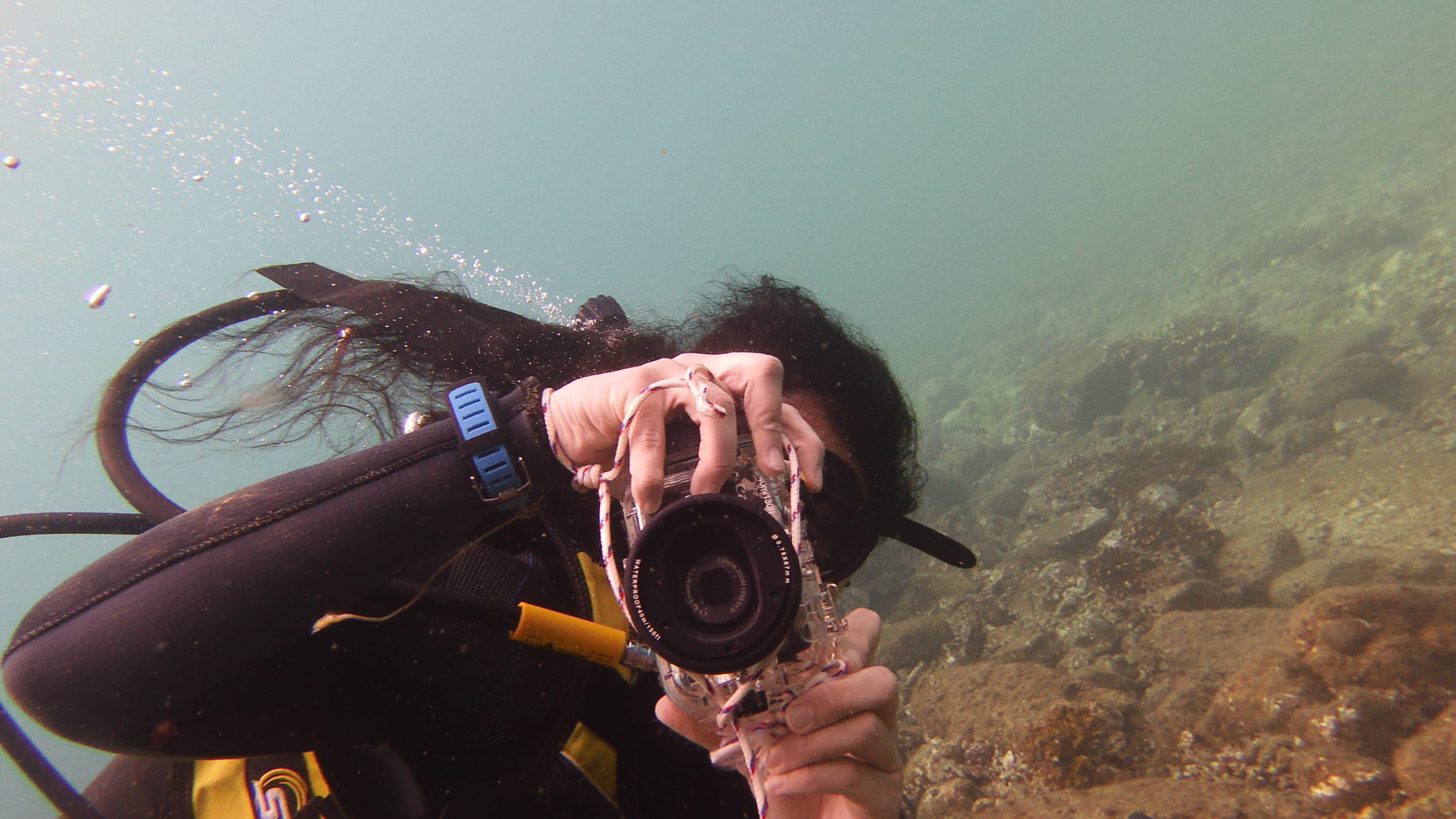 10 Best Underwater Cameras of 2023 Essential Reviews