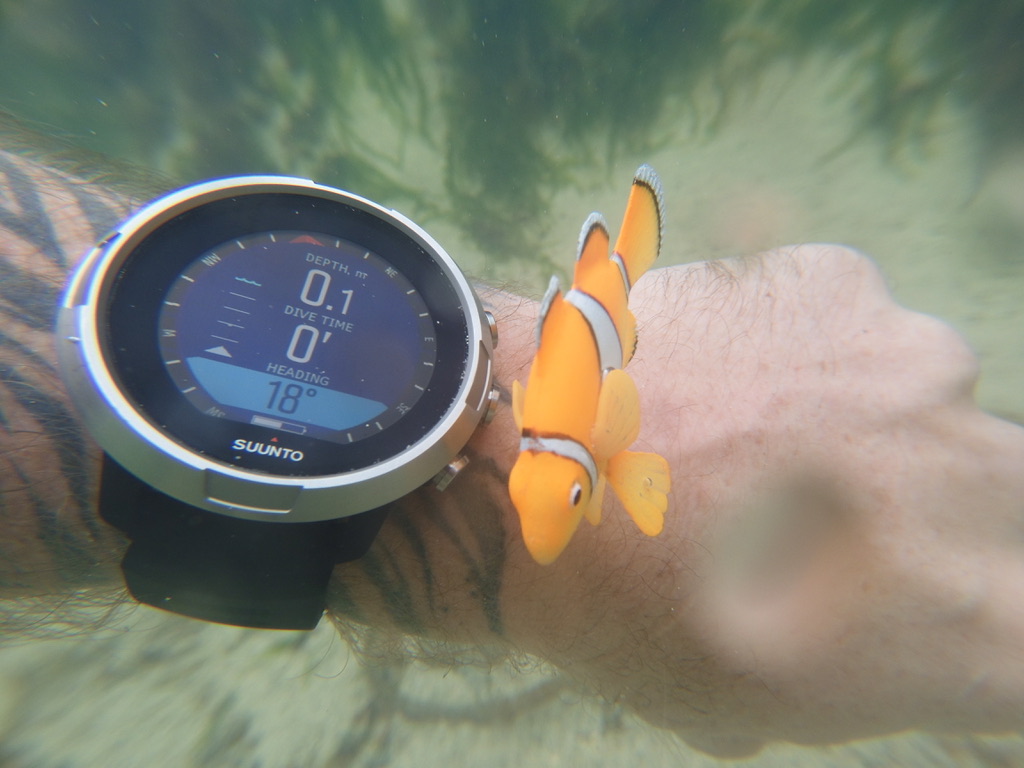 Suunto D5 in compass mode next to clownfish. Original photo.