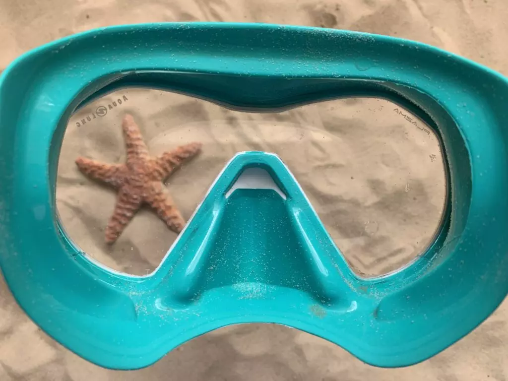 Aqua Lung Sport Nabul Mask