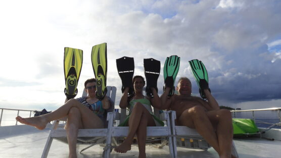 3 divers hand fins on donny