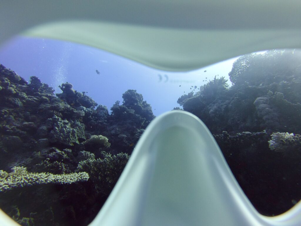 Point of view - looking through the lens of a dive mask at beautiful coral reef.