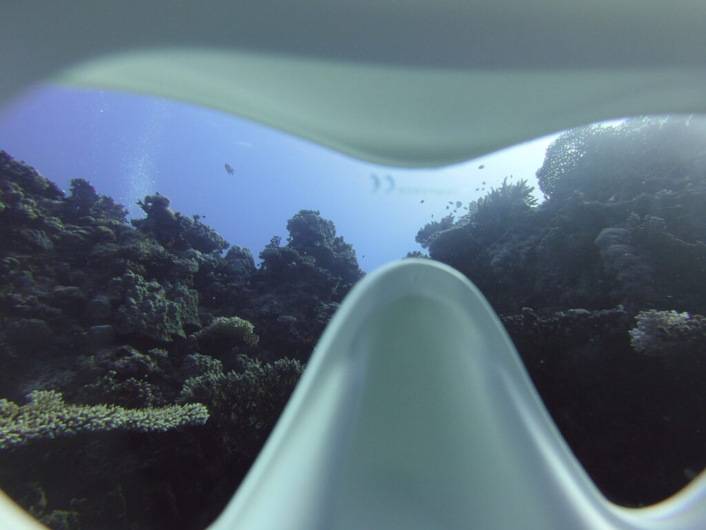 Dive mask POV - looking through lens at beautiful coral reef.