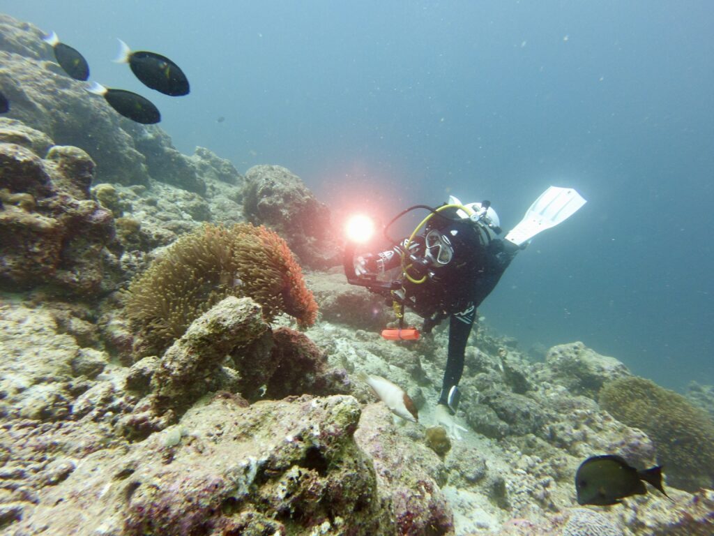 Diver wearing Aqualung Reveal X1 dive mask photographing clownfish and sea anemone.