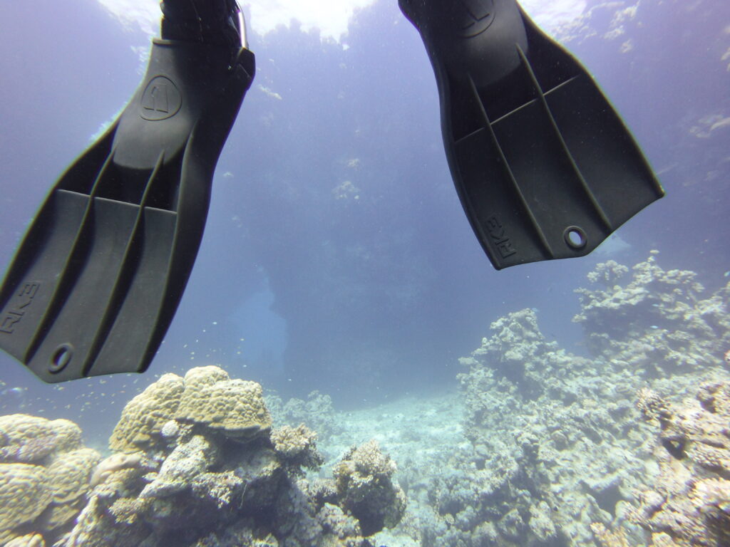 Apeks RK3 Scuba Fins - Tried and Tested [2024 EDITION]