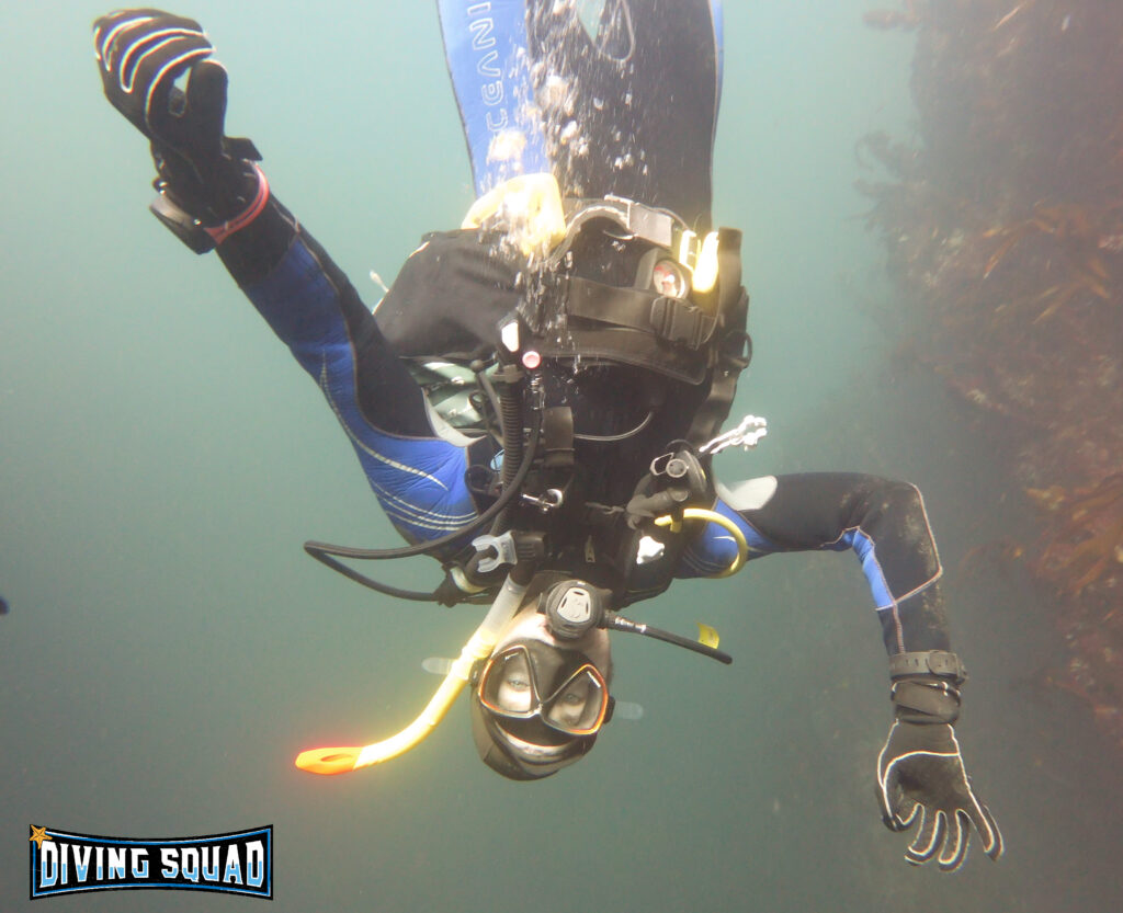 Original photo of scuba diver wearing Cressi Leonardo.