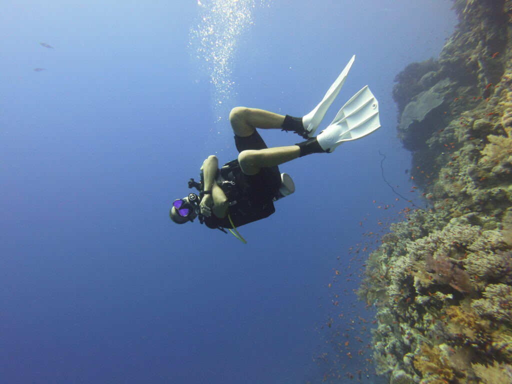 Scuba diver wearing Tusa M-2001 Paragon dive mask next to colourful coral reef in the red sea.