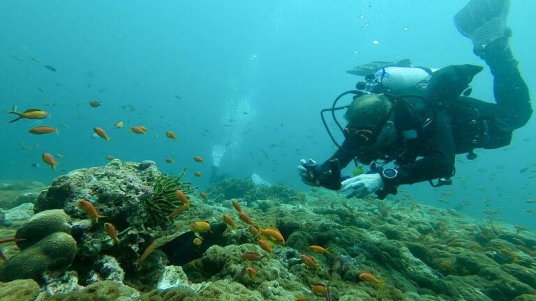 Alex filming fish over coral in the Maldives.