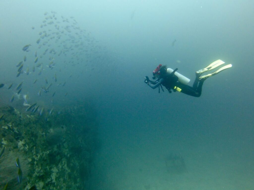 Female scuba diver (Tsvetelina) in the Maldives watching huge school of fish over shipwreck.