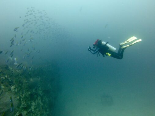 Female scuba diver (Tsvetelina) in the Maldives watching huge school of fish over shipwreck.