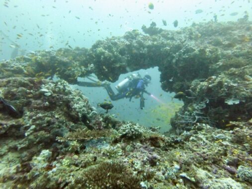 Scuba diver behind beautiful coral reef structure in the Maldives.