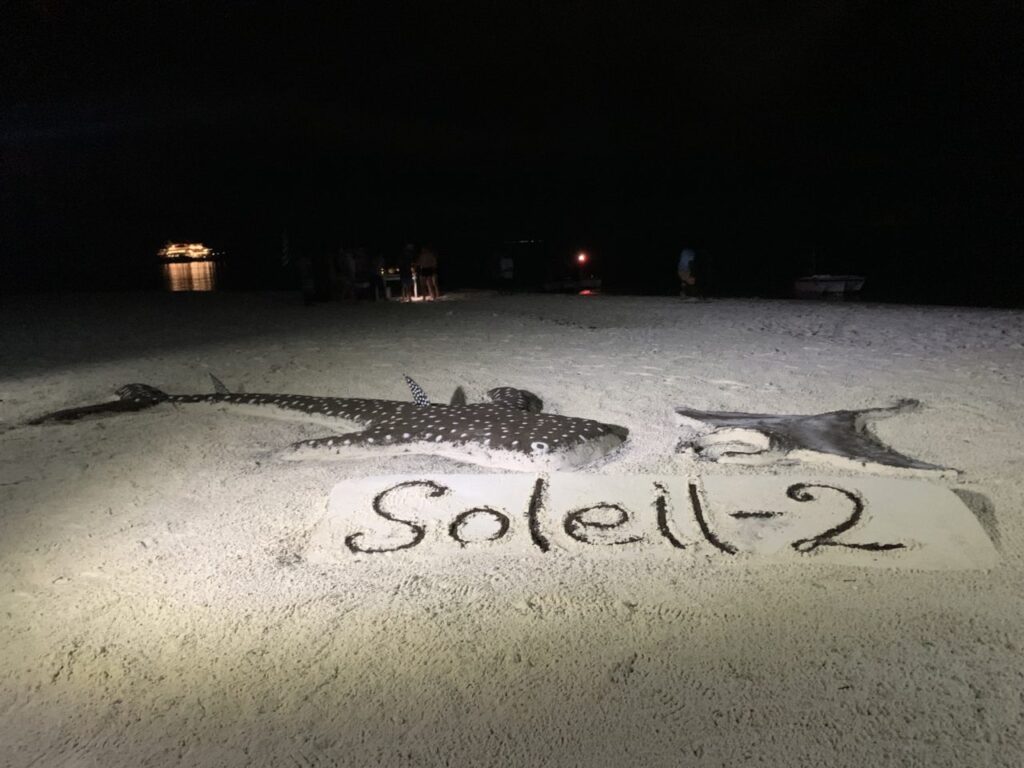 Whale Shark and Manta Ray made of sand during Maldives liveaboard beach bbq event.
