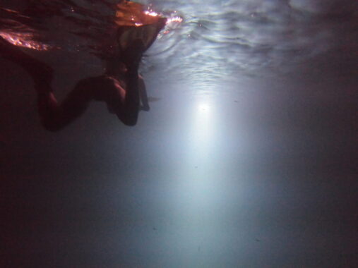 Snorkeling at night trippy awesome