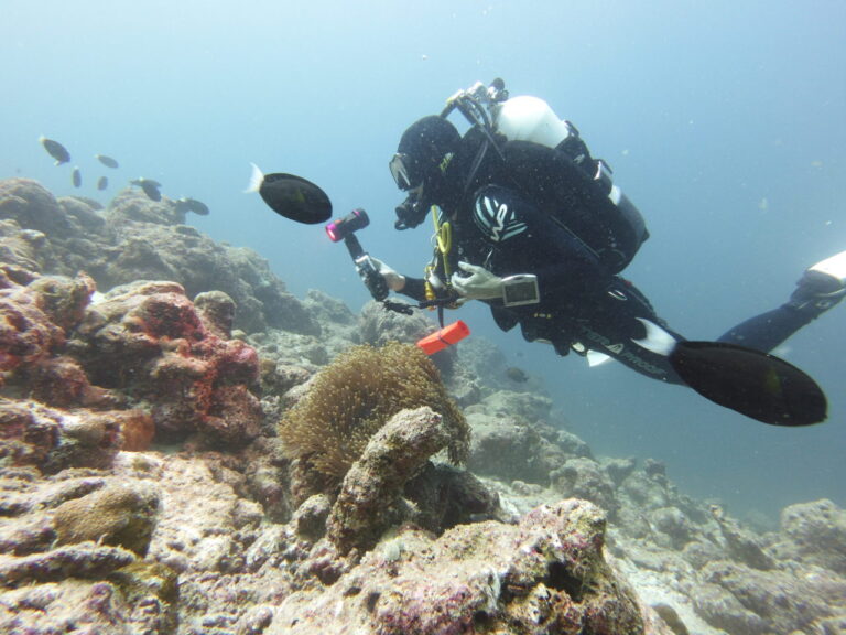 Scuba diver filming coral reef in the Maldives.