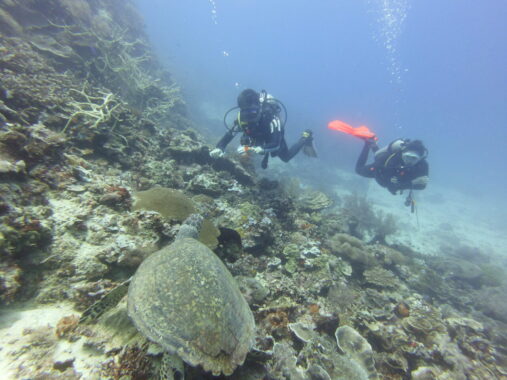 Two scuba divers coming face to face with a green sea turtle at one of the shallow coral reef dive sites of Siquijor.