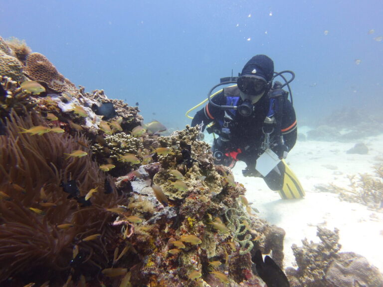 A dive guide from Sea Pearl dive centre observing a colourful coral reef.