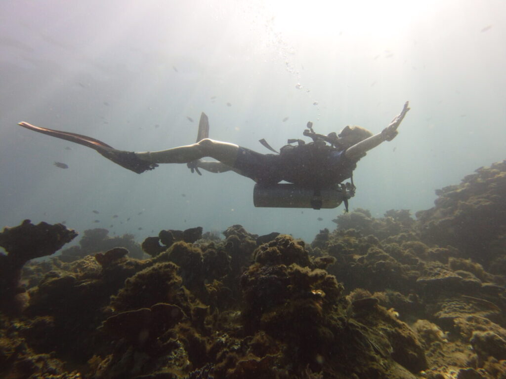 Female scuba diver floating in the water over of the hard coral reef of nat nat El Nido dive site.