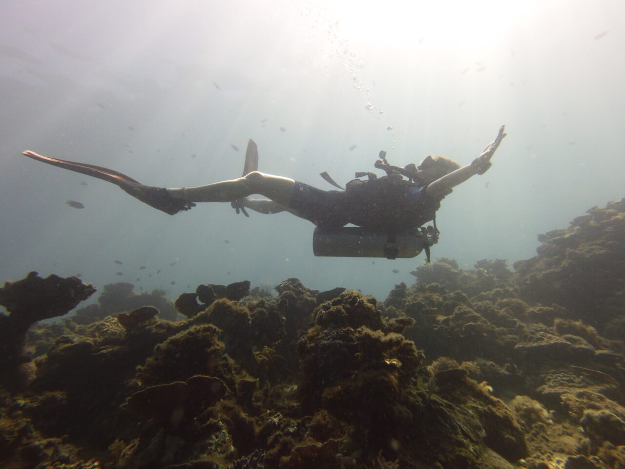 Female scuba diver floating in the water over of the hard coral reef of nat nat El Nido dive site.