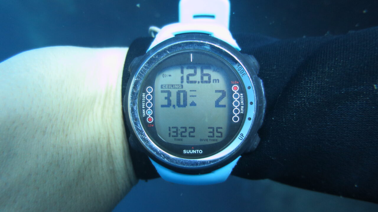 Best Dive Computers for Beginners (2024 REVIEW)