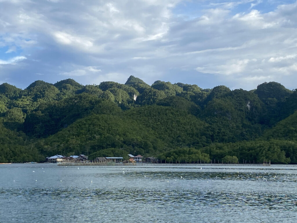 Rainforest covered hills of Anda.