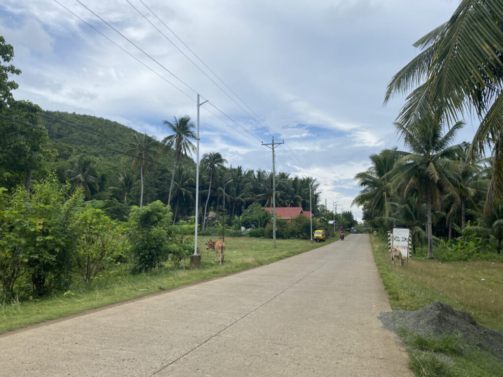 The main highway going through Anda.