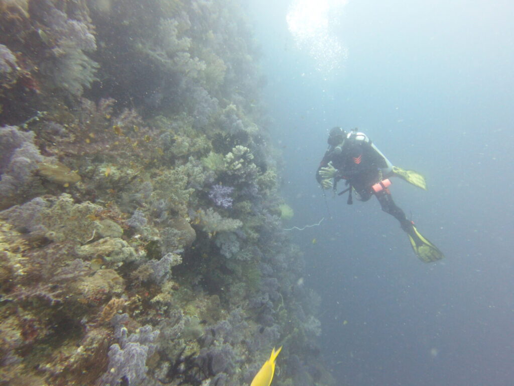 Scuba diver next to coral wall - a local dive site of Anda.