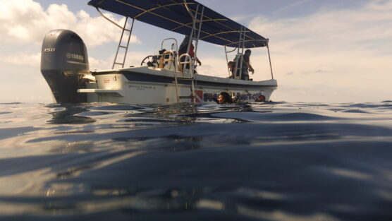 Pearl Divers dive centre boat visible from the water.