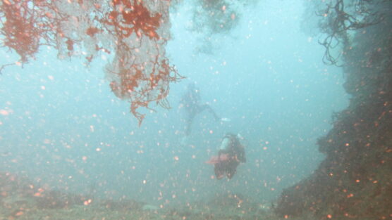 Divers exiting the cave siquijor dive site.