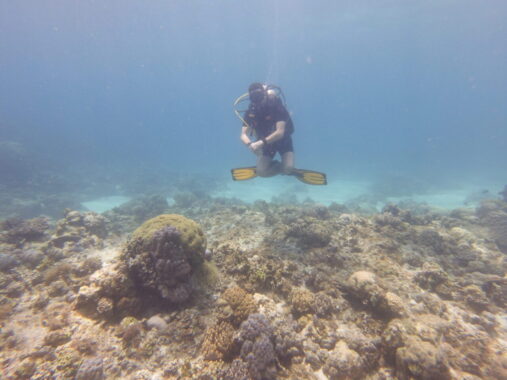 Scuba diver witnessing the epic beauty of diving Siquijor.